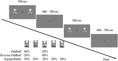 Visual Mismatch Negativity Reflects Enhanced Response to the Deviant: Evidence From Event-Related Potentials and Electroencephalogram Time-Frequency Analysis